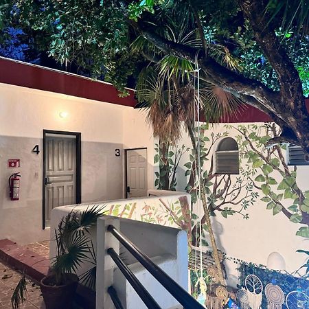 פלאייה דל כרמן Hotel Ha Garden Gallery - 5Th Avenue מראה חיצוני תמונה