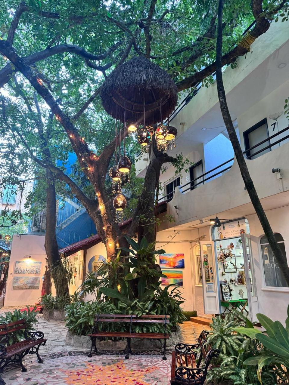 פלאייה דל כרמן Hotel Ha Garden Gallery - 5Th Avenue מראה חיצוני תמונה