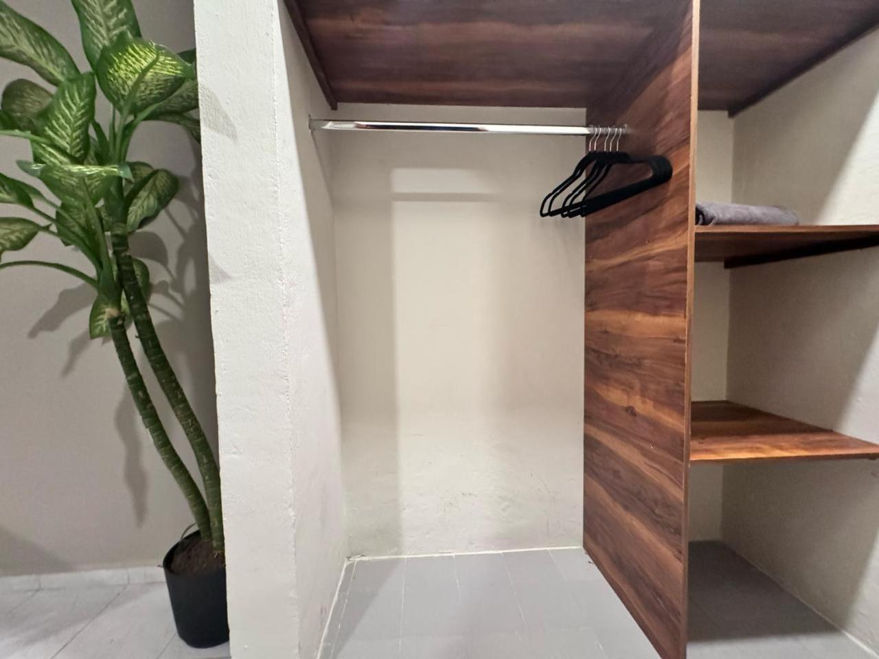 פלאייה דל כרמן Hotel Ha Garden Gallery - 5Th Avenue מראה חיצוני תמונה