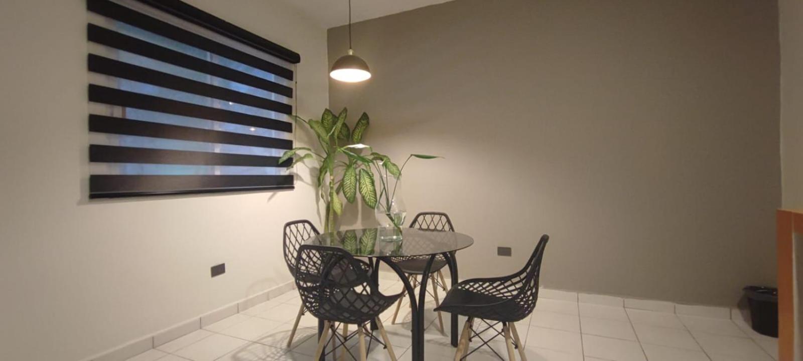פלאייה דל כרמן Hotel Ha Garden Gallery - 5Th Avenue מראה חיצוני תמונה