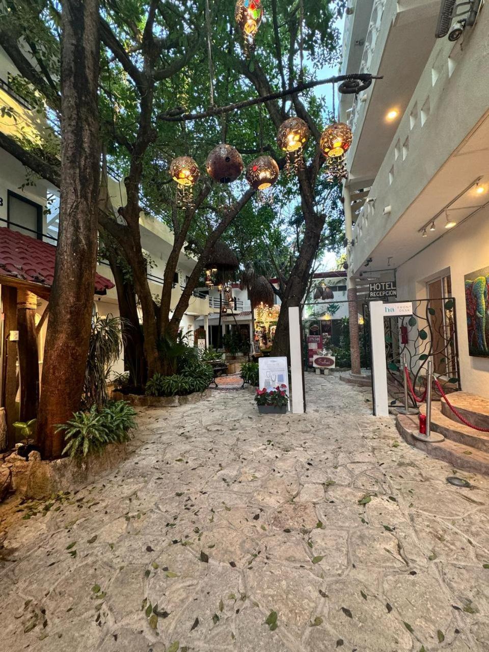 פלאייה דל כרמן Hotel Ha Garden Gallery - 5Th Avenue מראה חיצוני תמונה