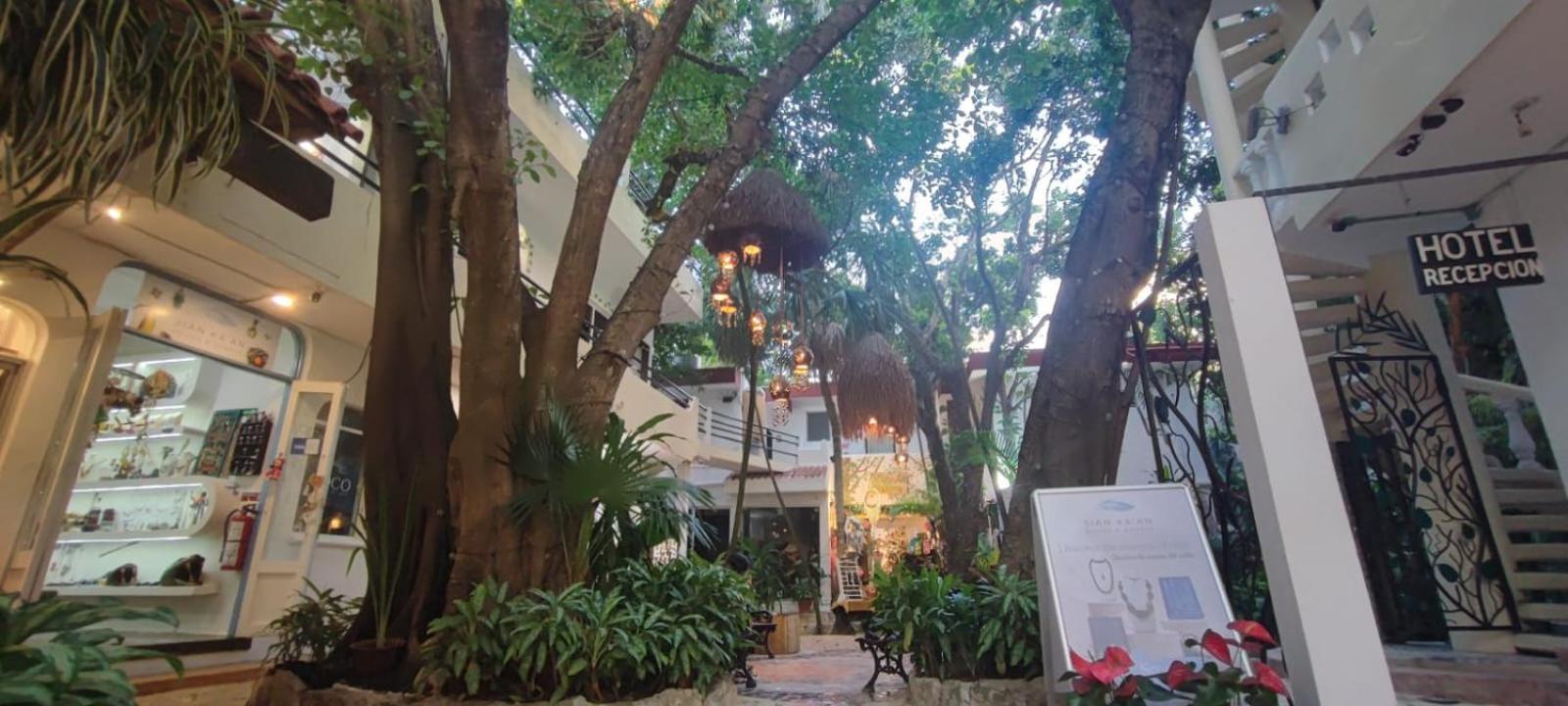 פלאייה דל כרמן Hotel Ha Garden Gallery - 5Th Avenue מראה חיצוני תמונה