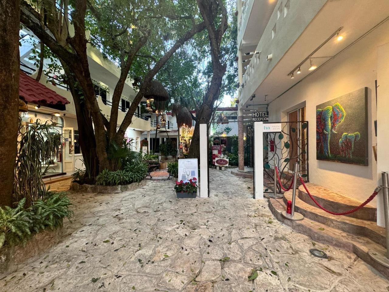 פלאייה דל כרמן Hotel Ha Garden Gallery - 5Th Avenue מראה חיצוני תמונה