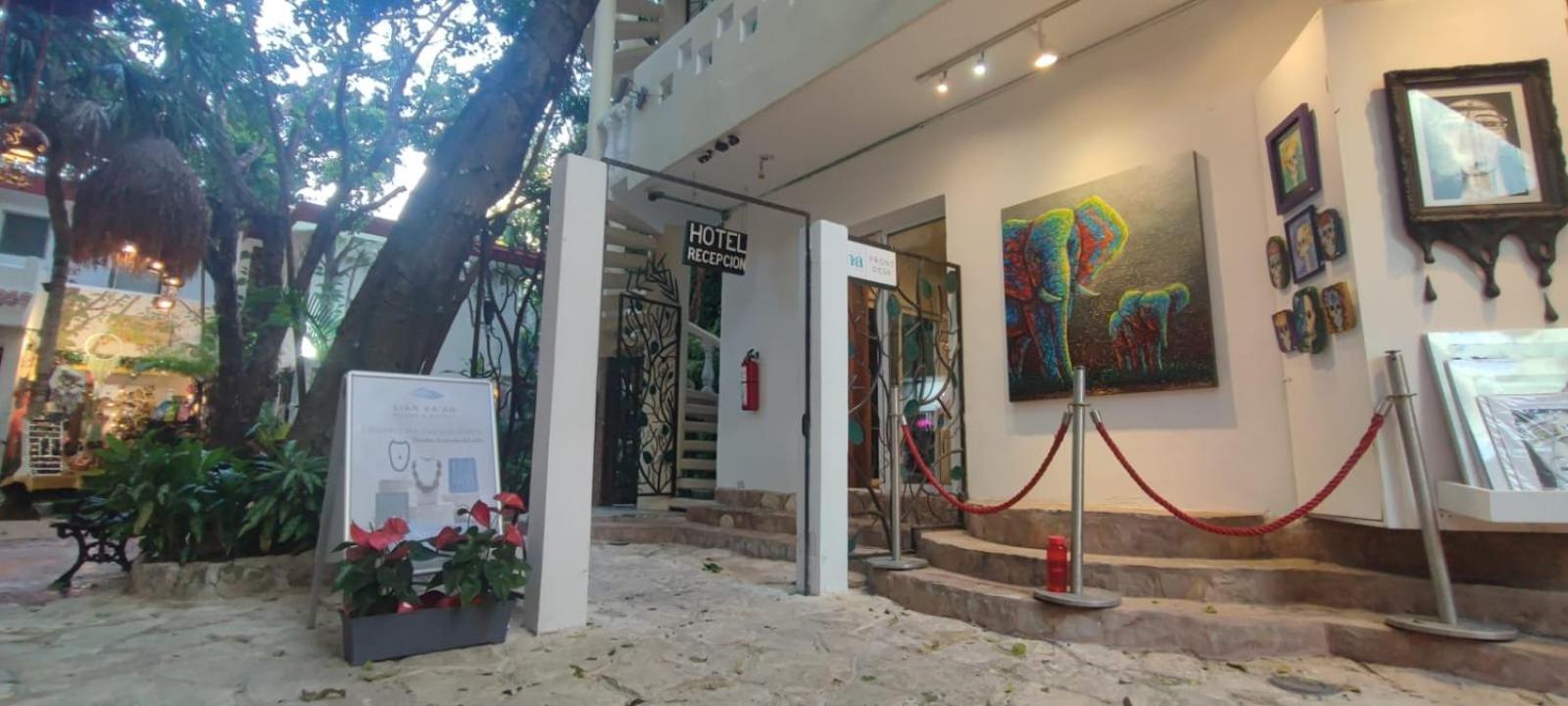 פלאייה דל כרמן Hotel Ha Garden Gallery - 5Th Avenue מראה חיצוני תמונה